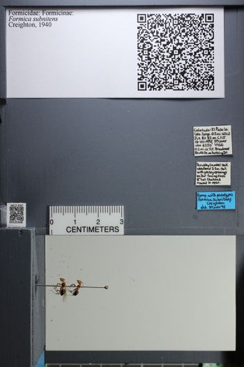 Media type: image;   Entomology 525308